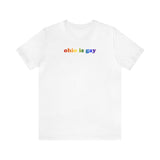 Ohio is Gay Pride T-Shirt: LGBTQ+ Flag Gradient Tee
