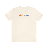 Ohio is Gay Pride T-Shirt: LGBTQ+ Flag Gradient Tee