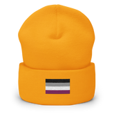 Asexual Pride Flag Embroidered Beanie