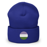 Genderqueer Flag Embroidered Circle Beanie: Celebratory LGBTQ+ Pride Design
