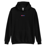 Embroidered Bisexual Hoodie: Pride Flag Horizontal Heart Design
