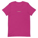 Embroidered Demigender T-Shirt: Pride Flag Horizontal Circle Design