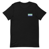 Gay Pride Flag Embroidered T-Shirt