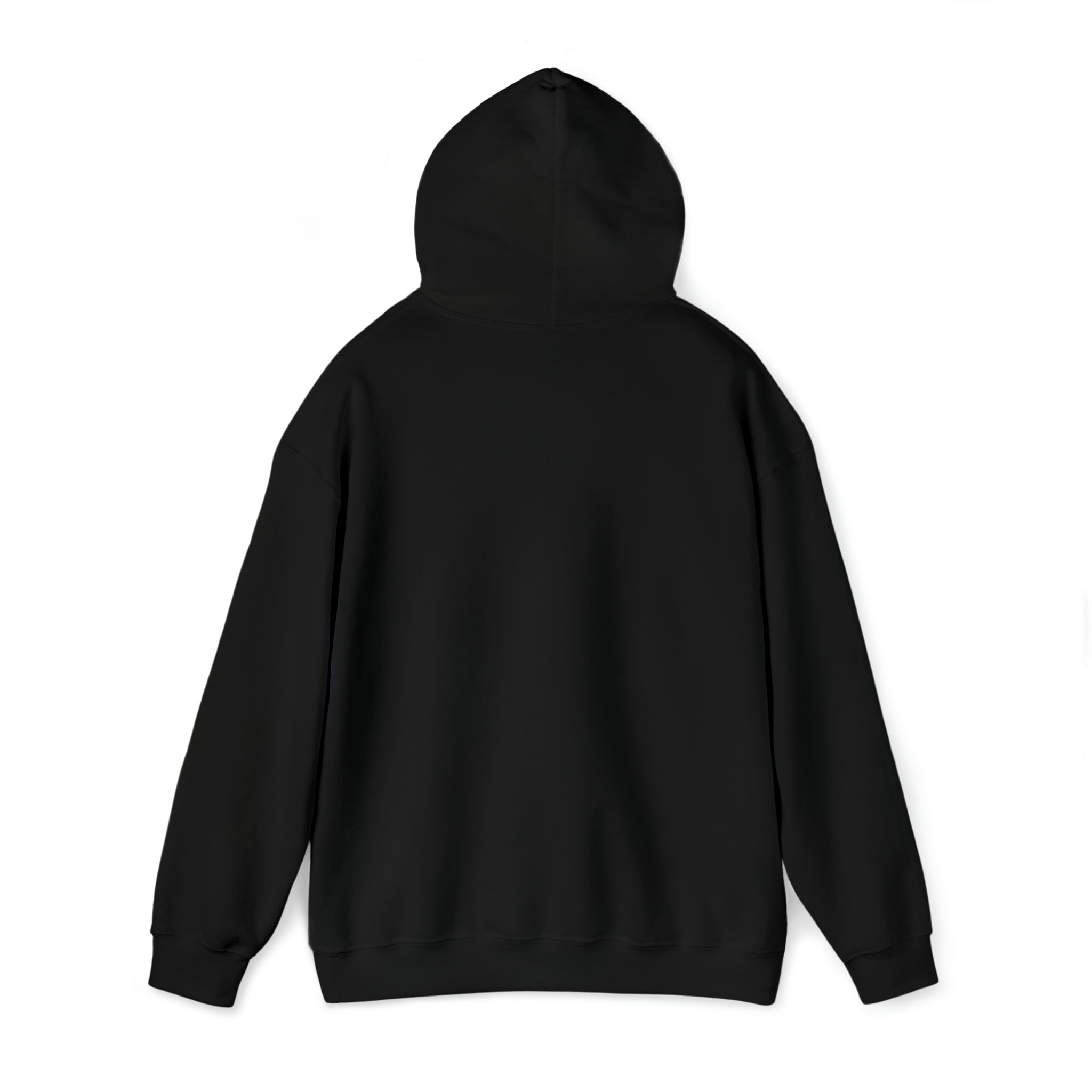 North Dakota LGBTQ+ Pride Flag, Faded Black Hoodie