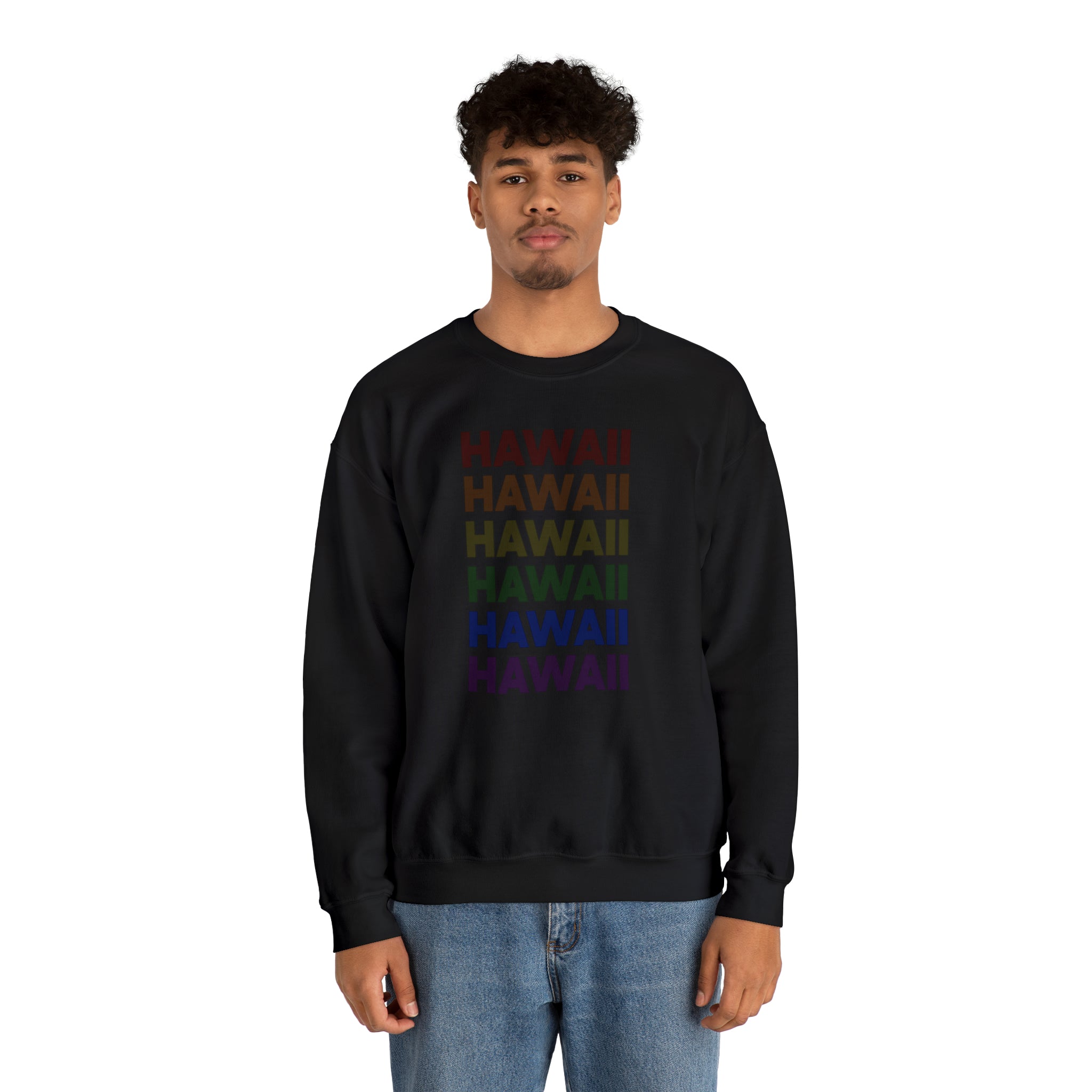 Hawaii LGBTQ+ Pride Flag, Faded Black Sweater