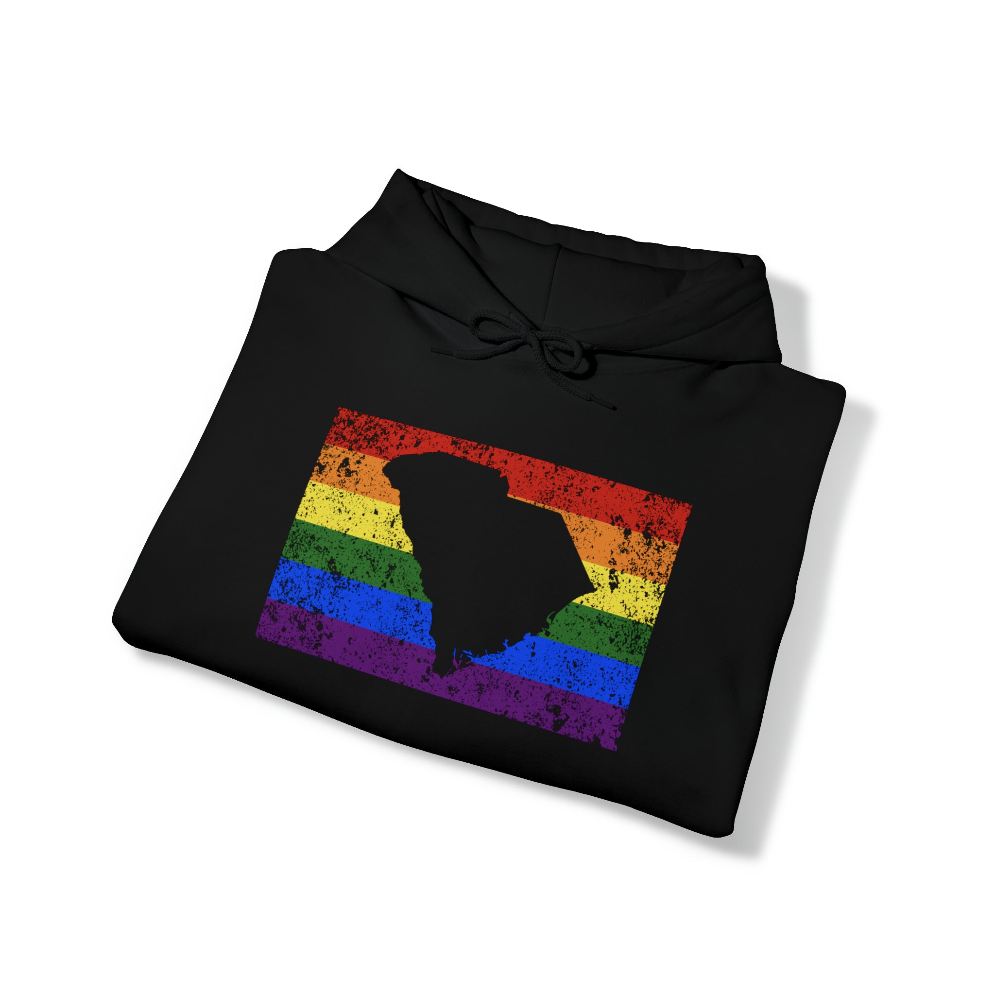 South Carolina Pride Flag Hoodie: Rainbow LGBTQ+ State Silhouette Distressed Hooded Sweatshirt