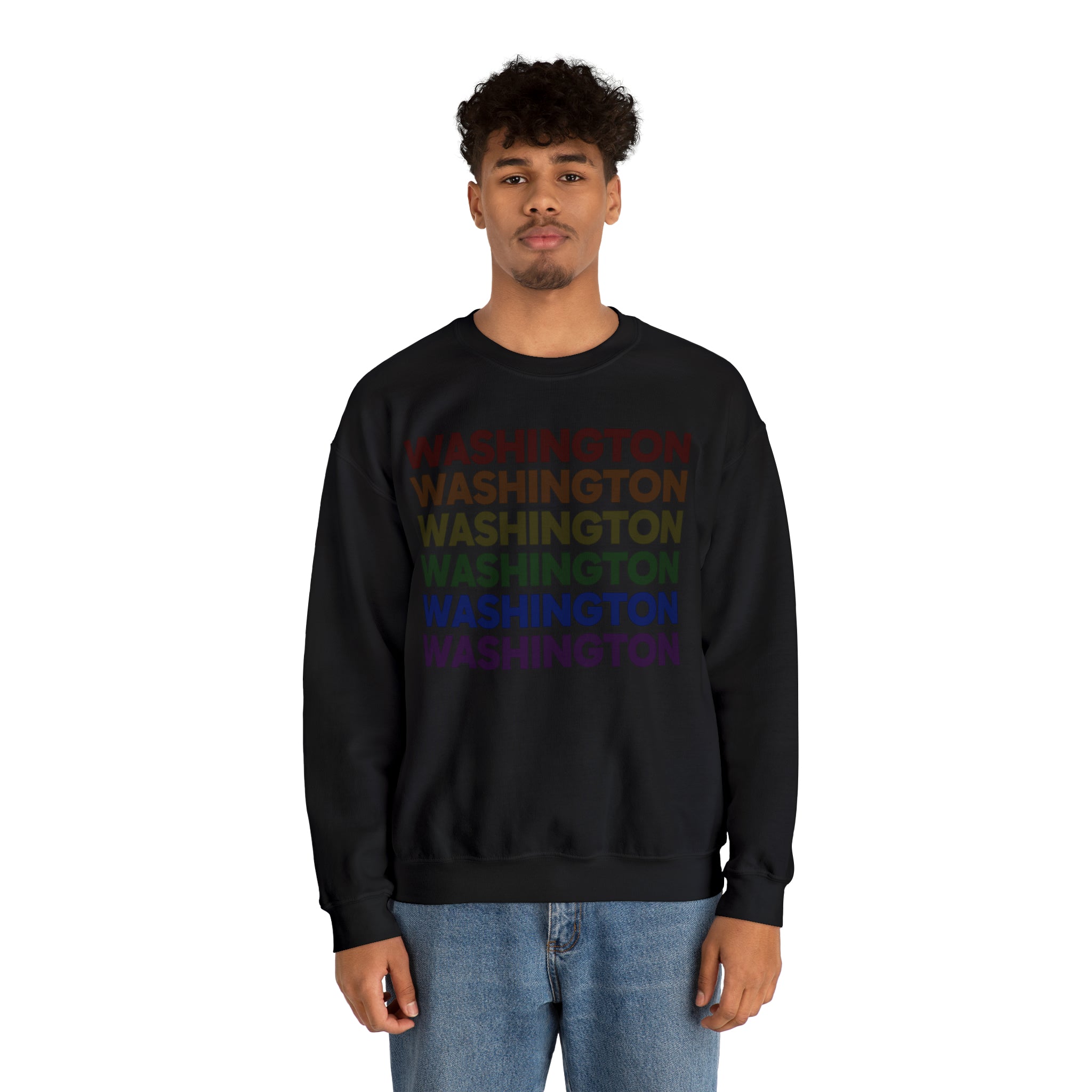 Washington LGBTQ+ Pride Flag, Faded Black Sweater