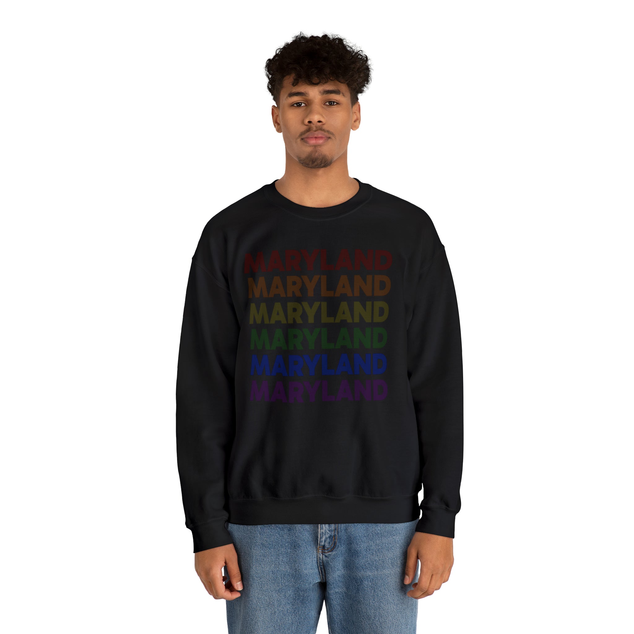 Maryland LGBTQ+ Pride Flag, Faded Black Sweater