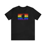 Illinois Pride Flag Tee: Rainbow LGBTQ+ State Silhouette Distressed Shirt