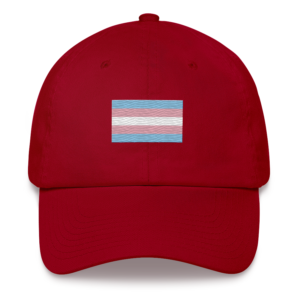 Transgender Pride Flag Embroidered Hat