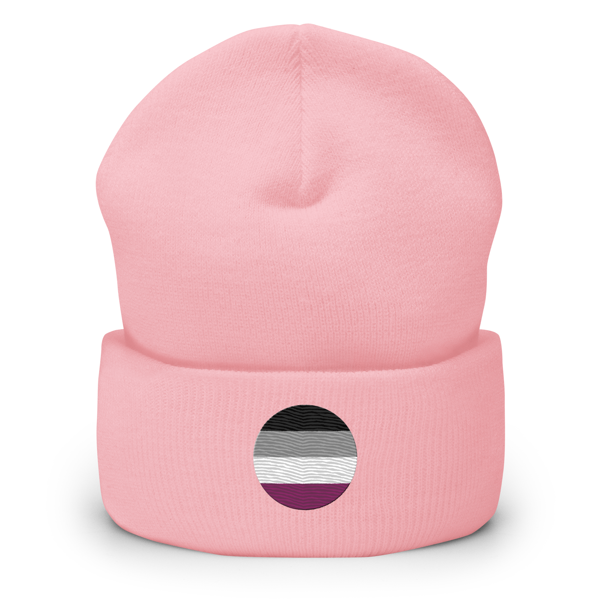 Asexual Flag Embroidered Circle Beanie: Celebratory LGBTQ+ Pride Design