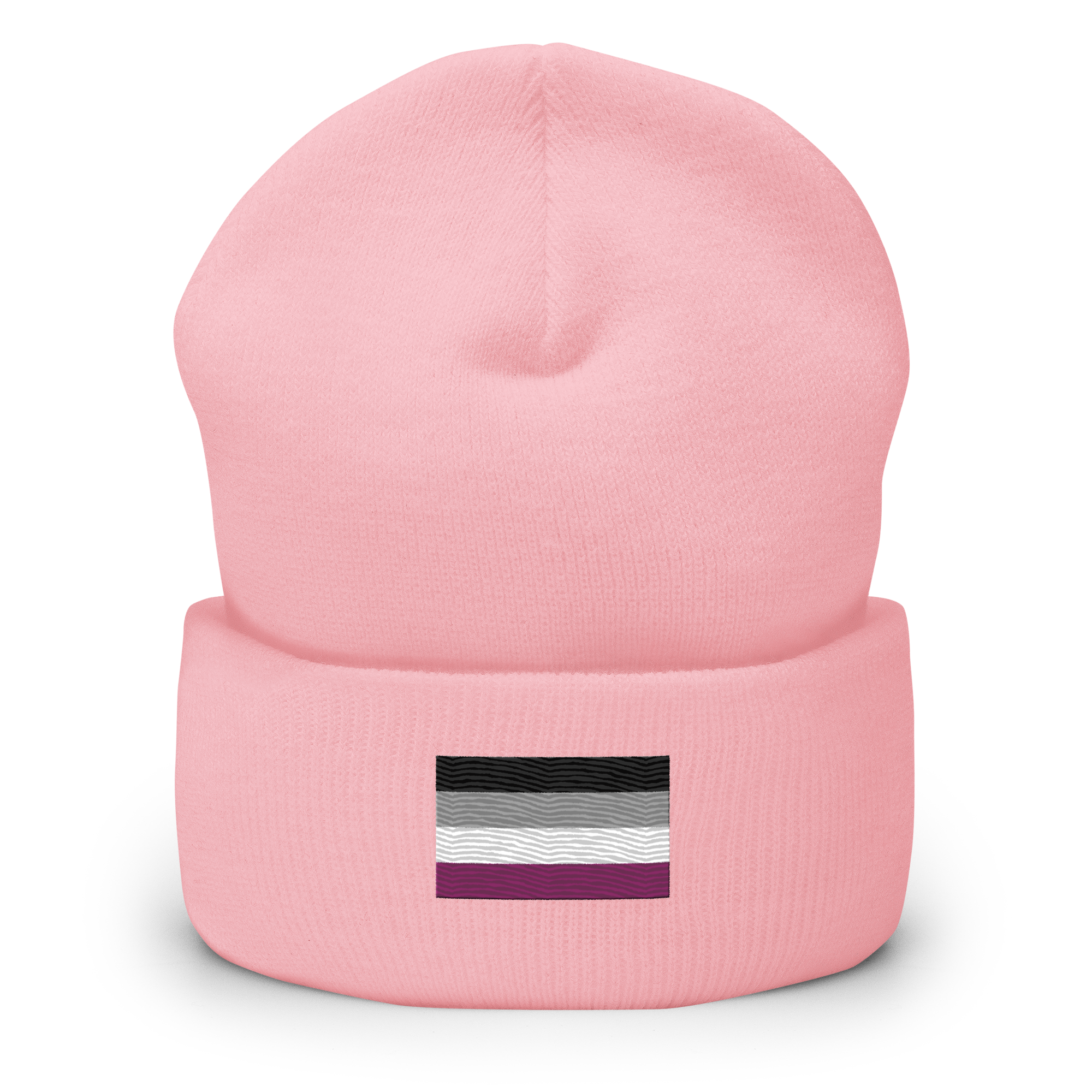 Asexual Pride Flag Embroidered Beanie