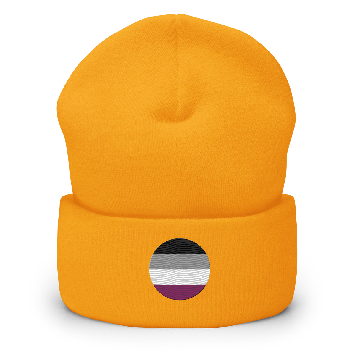 Asexual Flag Embroidered Circle Beanie: Celebratory LGBTQ+ Pride Design