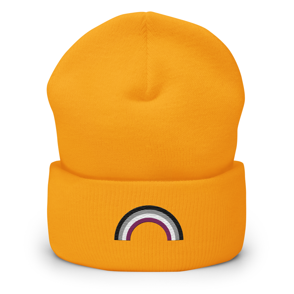 Embroidered Asexual Rainbow Beanie: Pride Flag LGBTQ+ Design