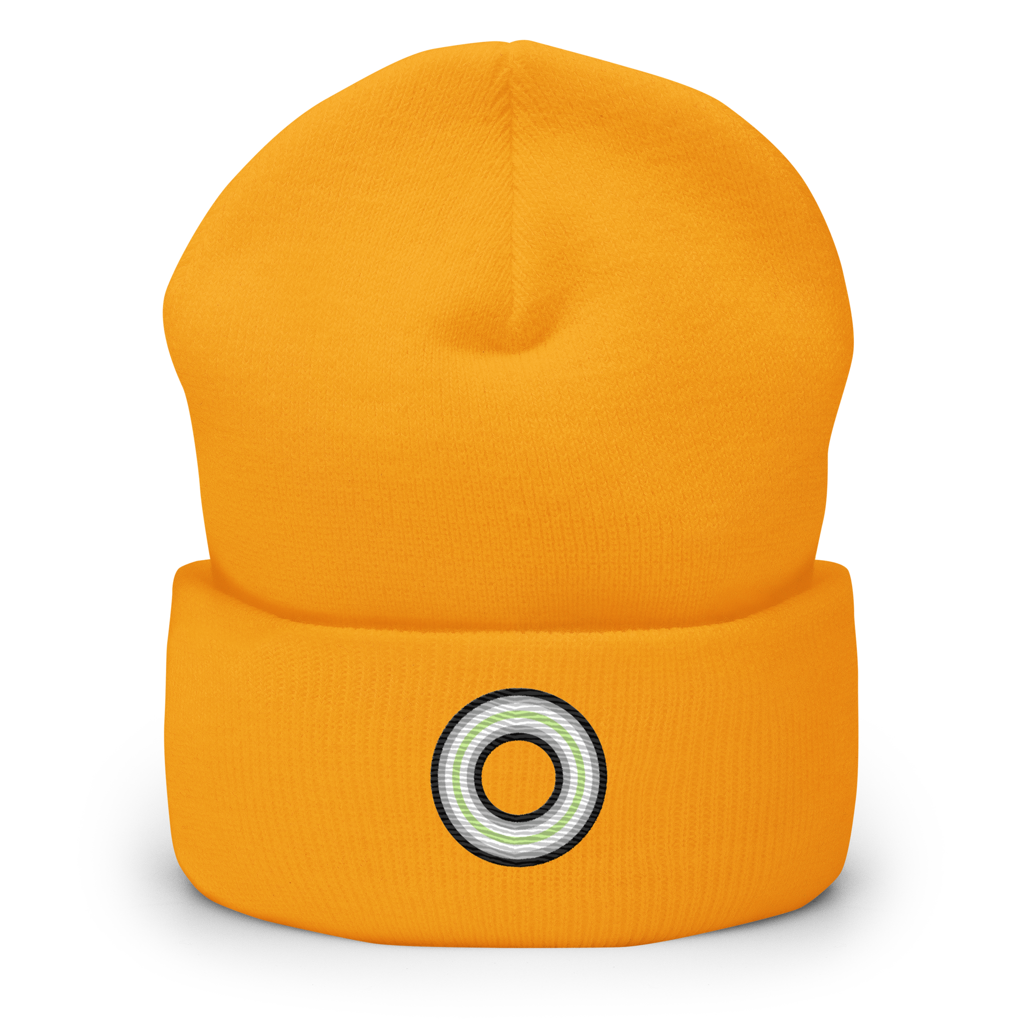 Embroidered Beanie: Agender Pride Ring Emblem Design