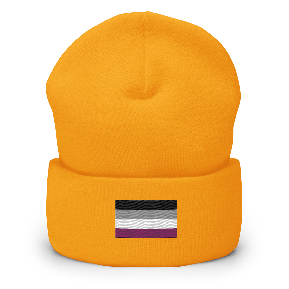Asexual Pride Flag Embroidered Beanie