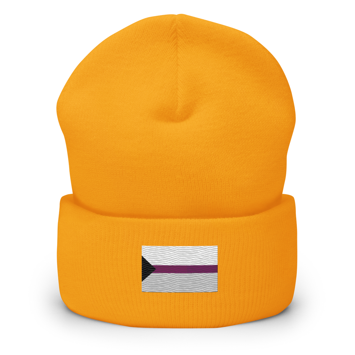 Demisexual Pride Flag Embroidered Beanie