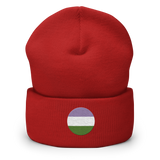 Genderqueer Flag Embroidered Circle Beanie: Celebratory LGBTQ+ Pride Design