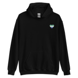 Gay Pride Flag Embroidered Heart Hoodie: Celebratory LGBTQ+ Pride Design