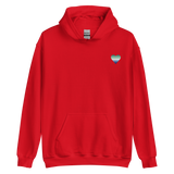 Gay Pride Flag Embroidered Heart Hoodie: Celebratory LGBTQ+ Pride Design