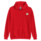 Demigender Flag Embroidered Circle Hoodie: Celebratory LGBTQ+ Pride Design